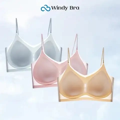 WindyBra - Summer  ultra-thin plus size ice silk comfort bra