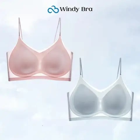 WindyBra - Summer  ultra-thin plus size ice silk comfort bra