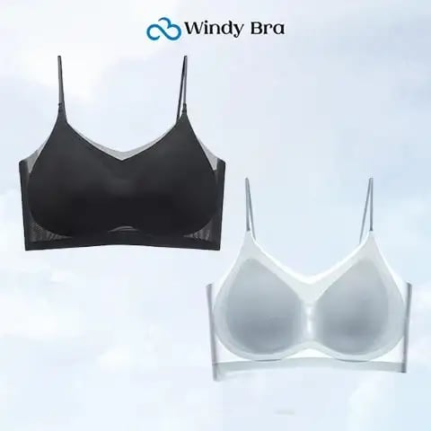 WindyBra - Summer  ultra-thin plus size ice silk comfort bra