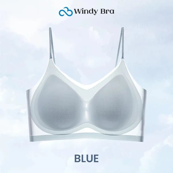 WindyBra - Summer  ultra-thin plus size ice silk comfort bra