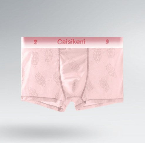 🔥BUY 2 GET 3 FREE🔥50% OFF🔥Men's Lace Lightweight Cool Breathable Boxer Briefs