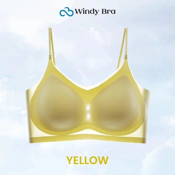 WindyBra - Summer  ultra-thin plus size ice silk comfort bra