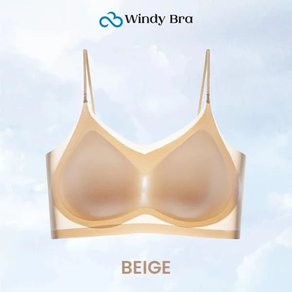 WindyBra - Summer  ultra-thin plus size ice silk comfort bra