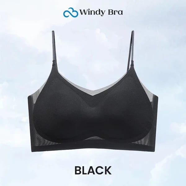 WindyBra - Summer  ultra-thin plus size ice silk comfort bra