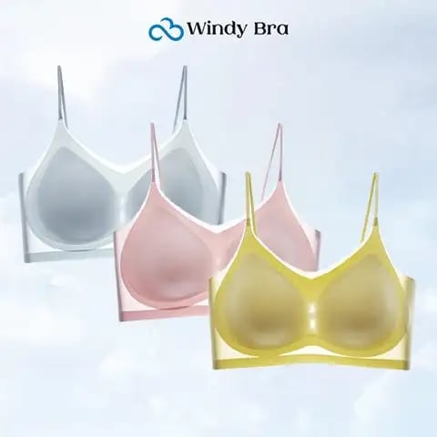 WindyBra - Summer  ultra-thin plus size ice silk comfort bra