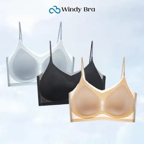 WindyBra - Summer  ultra-thin plus size ice silk comfort bra